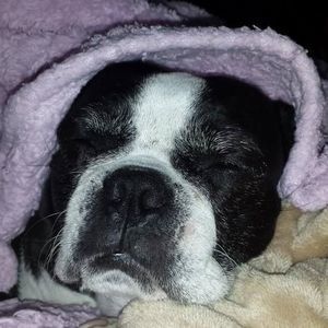 Meet your Posher, Jen